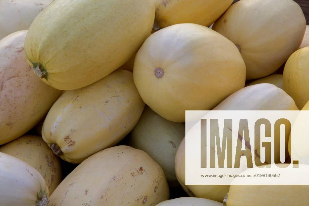 Spaghetti squash winter thanksgiving organic food full frame healthy agriculture market, winter squash heap spaghetti variation thanksgiving organic market food vegetarian agriculture, winter squash heap spaghetti variation thanksgiving organic market food vegetarian agriculture, 06.10.2022,