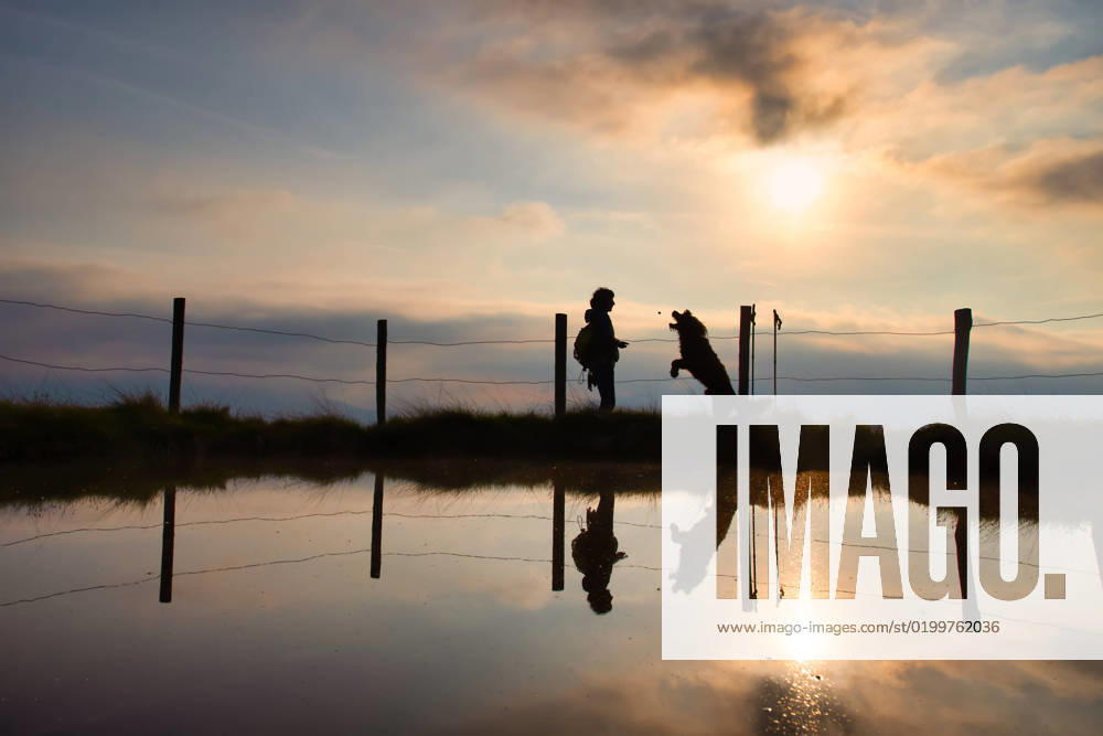 A Woman gives their Dog at a Walking tour in the Bergen at Sunset a Cookie 1104301640 ,model released, Symbolfoto