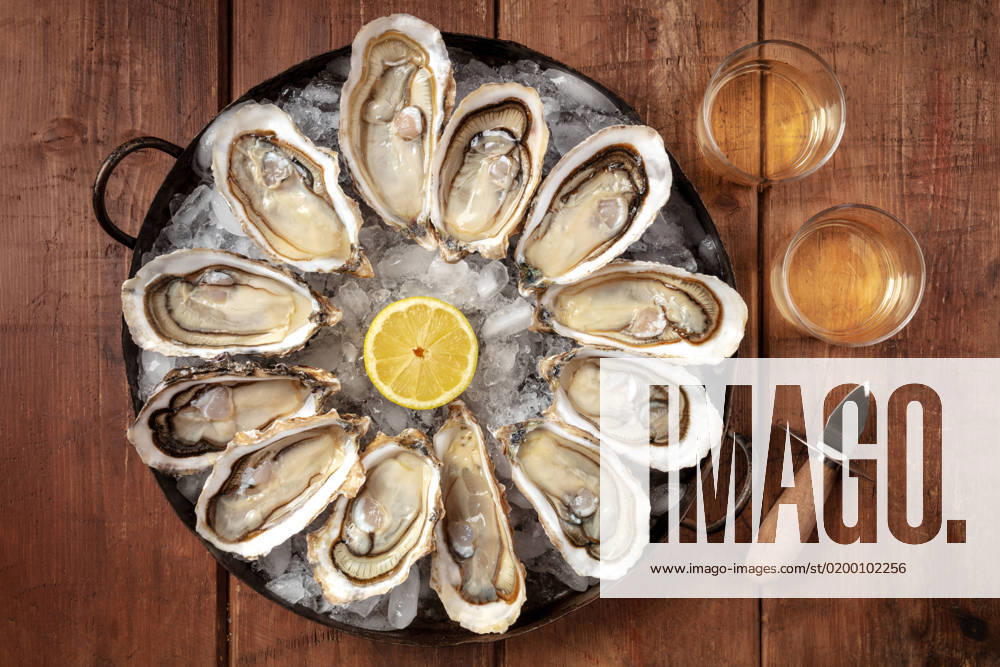 Oysters with wine, lemon, and a shucking knife Oysters with wine, lemon, and a shucking knife, overhead flat lay shot on a rustic background