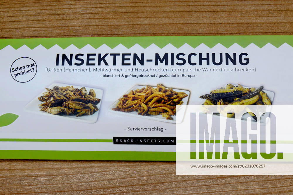 Edible insects edible insects, 27 01 2023, Borkwalde, Brandenburg, In a package there are edible insects