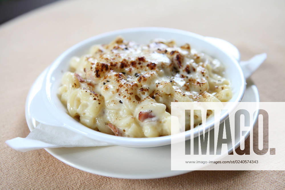 Macaroni gratin , 31141362.jpg, and, background, bake, baked, baking, bechamel, casserole, cheese, chicken, comfort, cooked, cooking, copy, cream, creamy, crumbs, cuisine, dining, dinner, dish, drink, elbow, flower, food, franch, french, gourmet, gratin, italian, lunch, mac, macaroni, meal, meat, mozzarella, oven, parmesan, pasta, plate, ramekin, salad, sauce, space, spoon, tea, tomato, vegetable, western, white, winter,