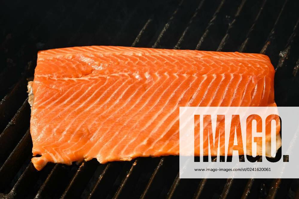 Searing and smoking salmon fish fillet on grill, Close up searing and smoking salmon fish fillet on open fire outdoor grill with cast iron metal grate, high angle view, Close up searing and smoking salmon fish fillet on open fire outdoor grill with cast iron metal grate, high angle view, 24.03.2023,
