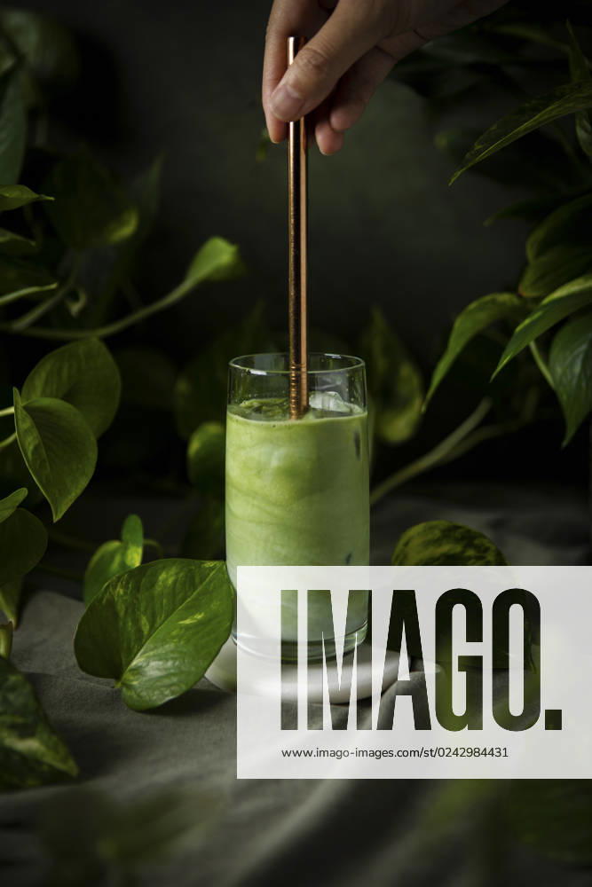A healthy Iced Matcha with Houseplants A healthy Iced Matcha with Houseplants