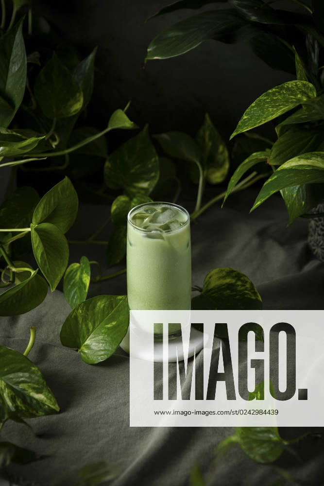 A healthy Iced Matcha with Houseplants A healthy Iced Matcha with Houseplants