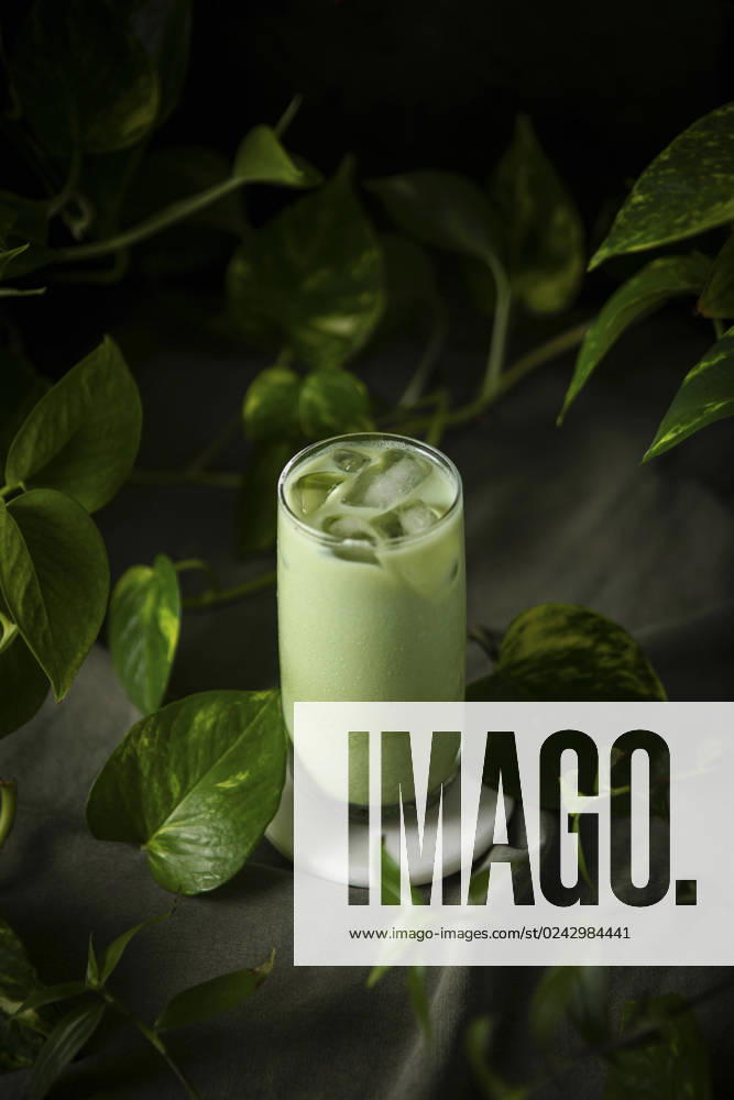 A healthy Iced Matcha with Houseplants A healthy Iced Matcha with Houseplants