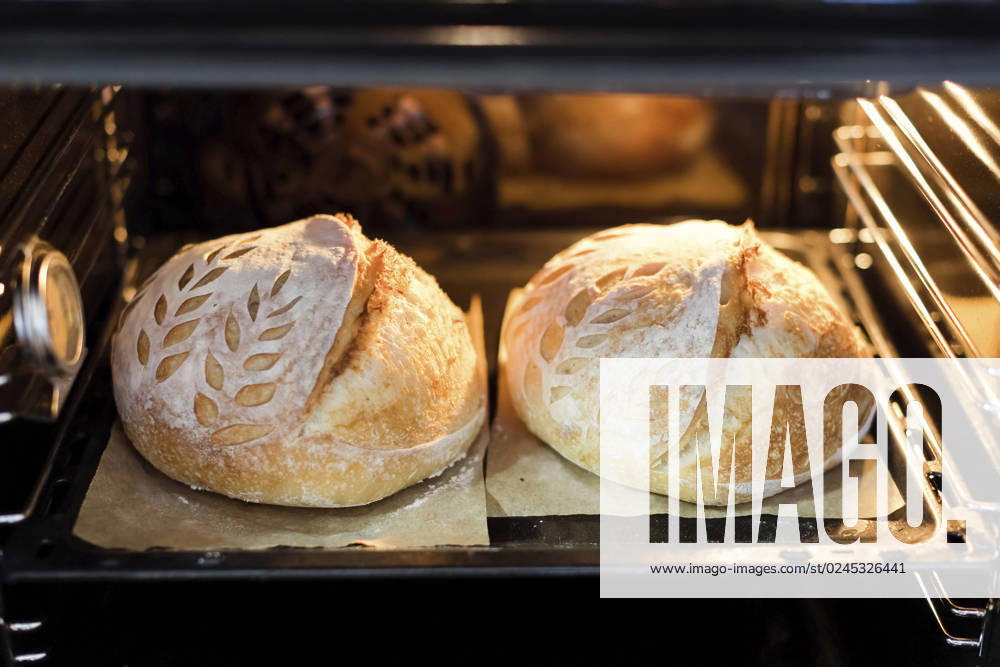Freshly baked sourdough bread in oven property released, ONAF00474