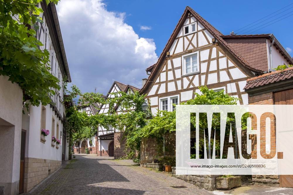 Village road at Wine village Gleiszellen, Southern Palatinate, Palatinate, Rhineland Palatinate, Germany, Europe