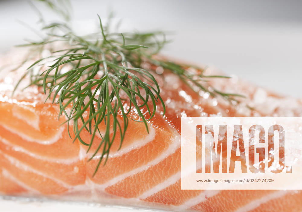Sugar and salt cured salmon with a dill leaf