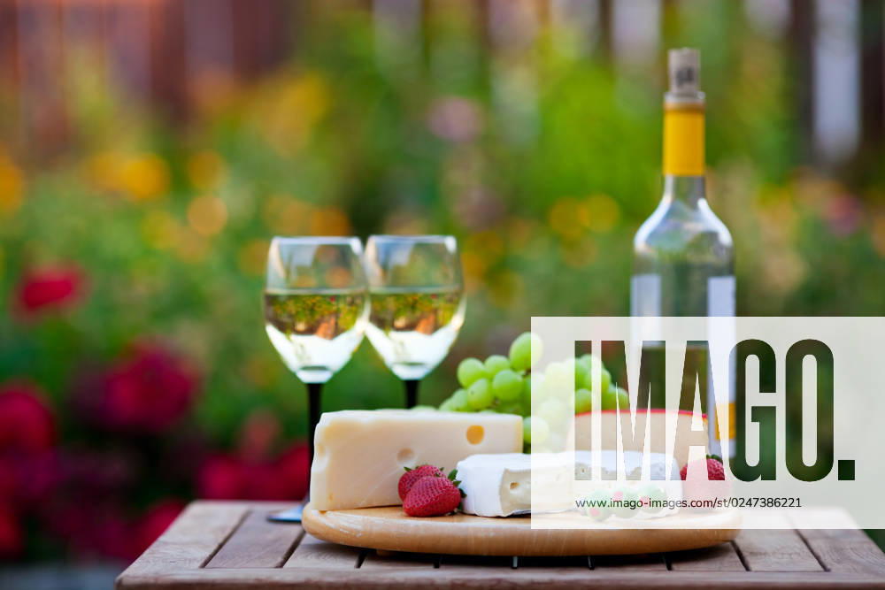 A wine & cheese garden party for two. Shallow depth of field.
