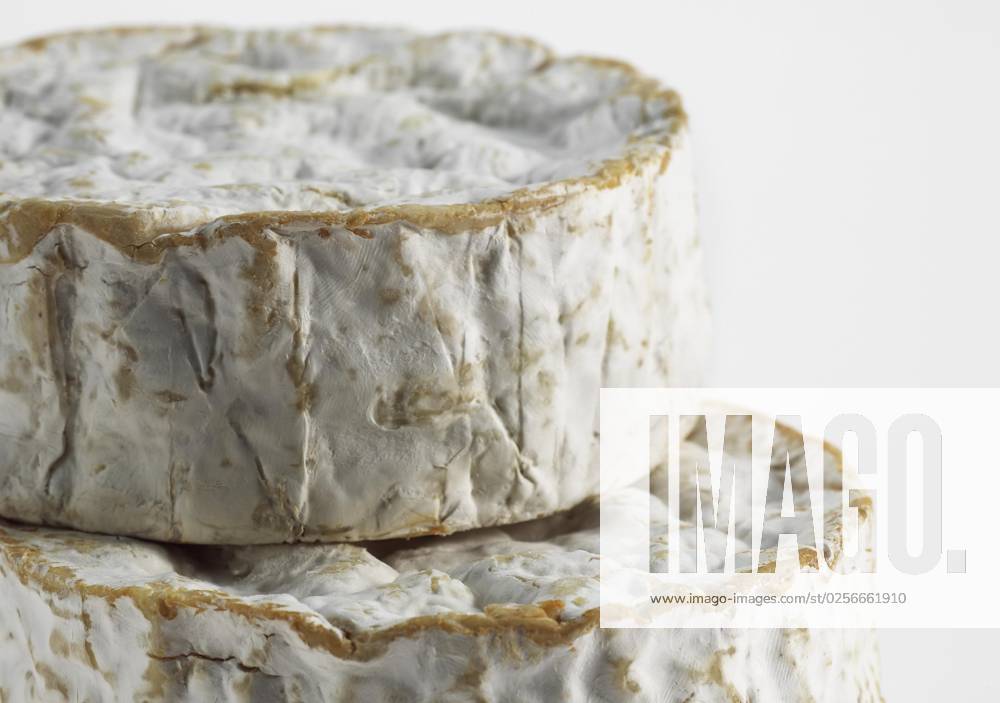Camembert, French Cheese from Cow s milk from the Normandy