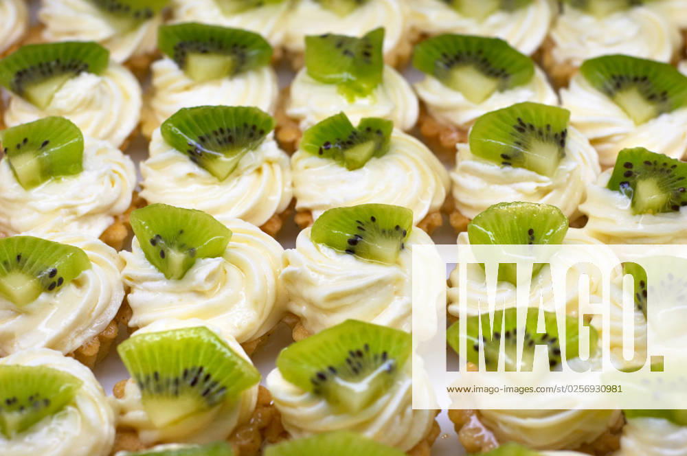 Small cakes (petit four) with custard and kiwi on top. Shallow DOF. Sharp focus on second line.