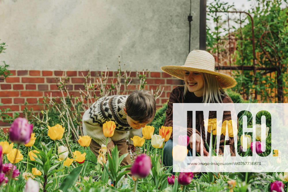 Mother and son spending leisure time amidst tulips in garden model released, Symbolfoto property released, VSNF00860