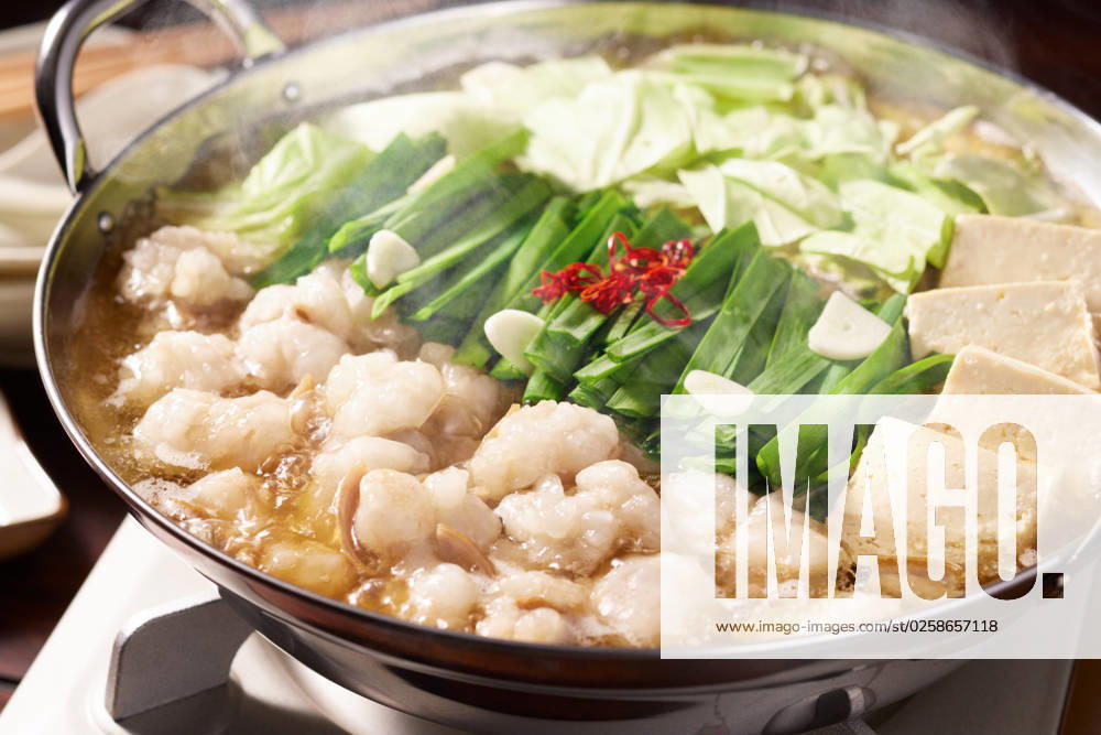 Japanese style stew AFLO202205207 , 202205207.jpg,