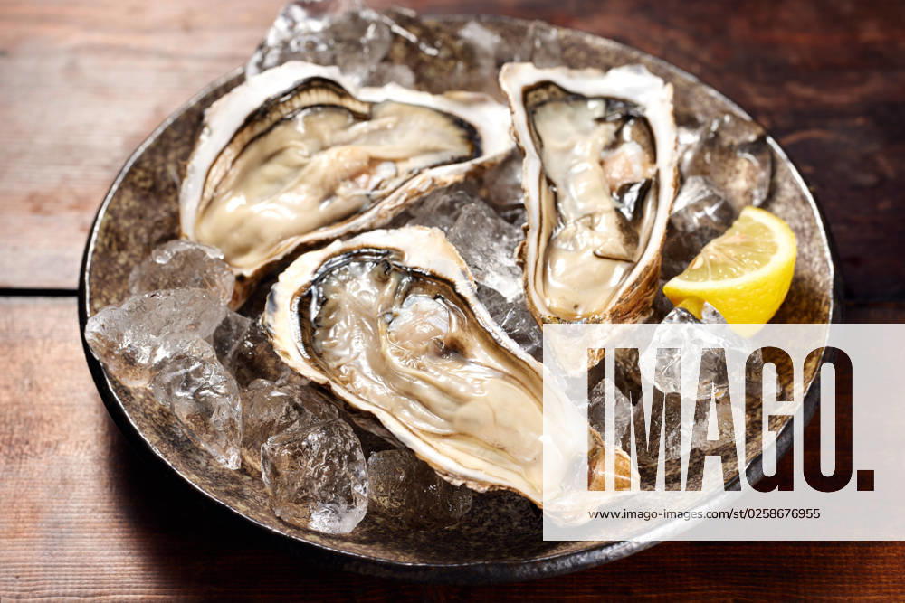 Oysters AFLO212747414 , 212747414.jpg,