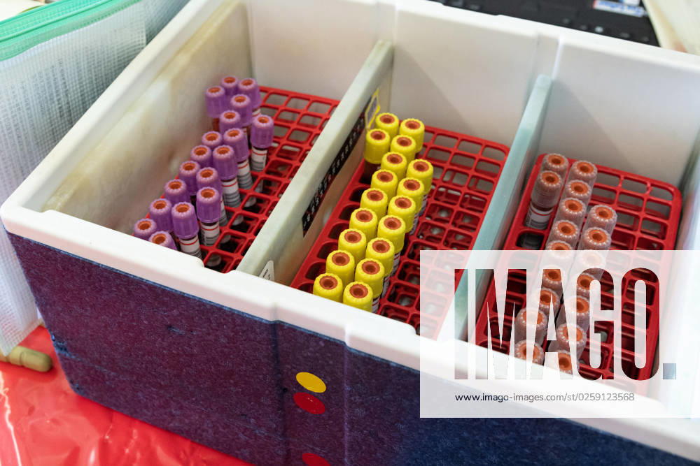 View into a cooling box with sample tubes for the laboratory examination of the donated blood, theme photos BLUTSPENDE on the occasion of the blood donation campaign of the German Red Cross with the action missingtype to the world blood donation day on 14 June 2023, photo session on 05 06 2023 in the school center Pesch in Cologne,