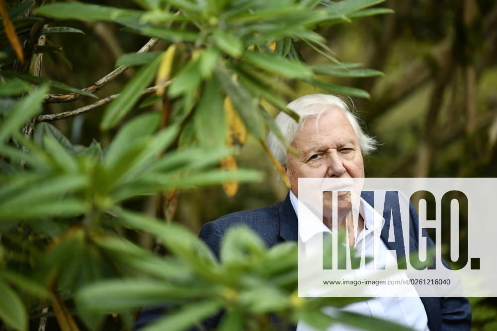 GOTHENBURG 2018 09 06 Sir David Attenborough is seen at the Botanical gardens in Gothenburg, Sweden on Thursday Sir Attenborough is in Sweden to accept an award during the annual The Perfect World Foundations dinner Foto Björn Larsson Rosvall TT kod 9200 GÖTEBORG Sweden