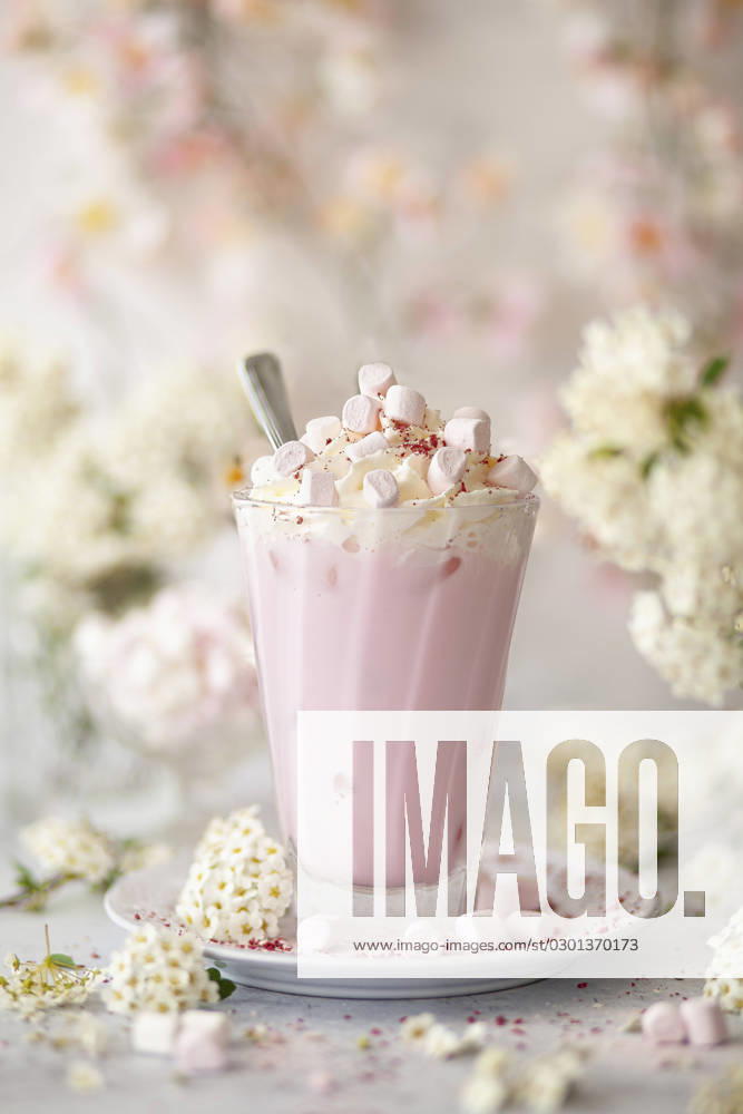 A pink hot chocolate drink served over ice and topped with whipped cream and marshmallows. A pink hot chocolate drink served over ice and topped with whipped cream and marshmallows.