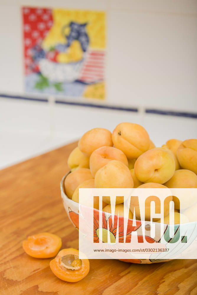 Bowl of apricots in handmade pottery bowl, to be prepped for dehydrating. Select fresh and fully ripened fruits. Immature produce lacks flavor and color. (PR)