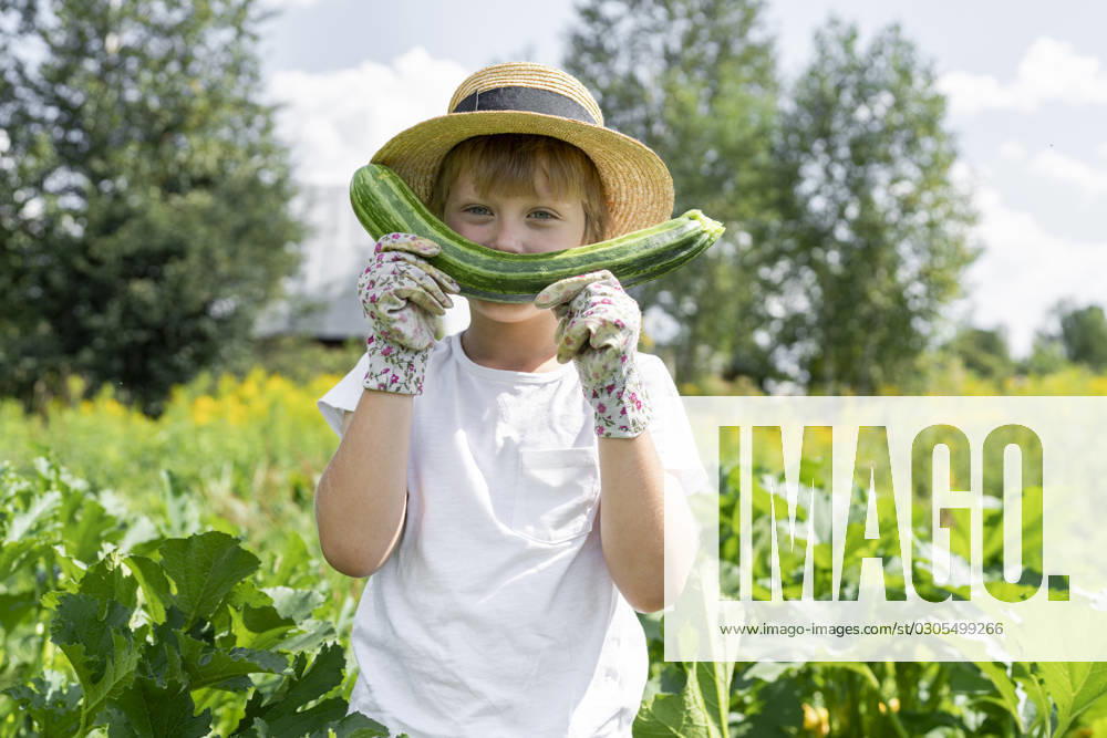 Boy wearing hat holding zucchini in garden model released, Symbolfoto, VBUF00360