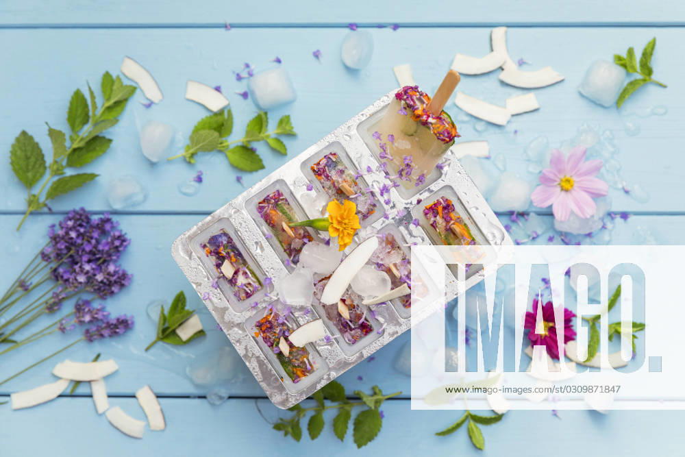 Homemade lemonade ice pops with herbs, edible flowers and coconut flakes, GWF07842