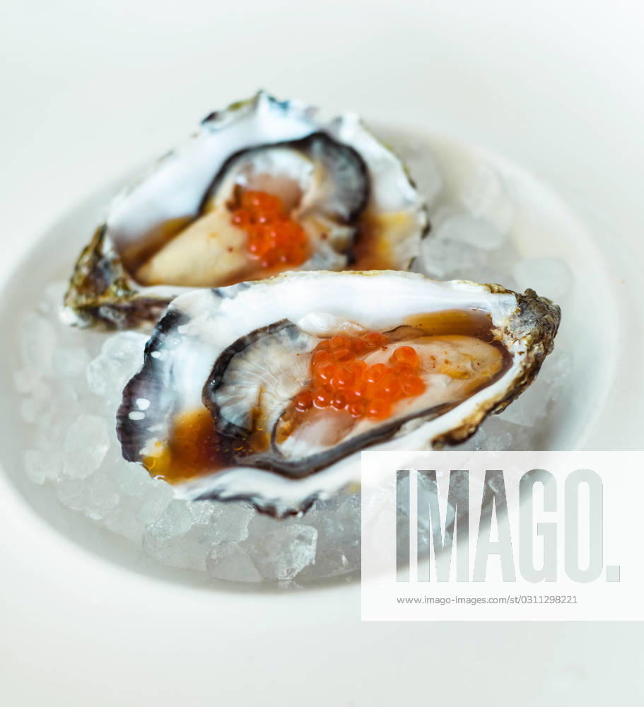 Gourmet portion of two oysters from the European Mediterranean Lloret de Mar, Catalonia, Spain R_QJZXDZ231025-1273777-01