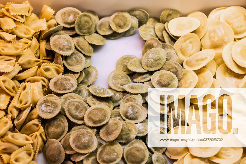 From above closeup of various types of handmade Italian ravioli arranged on white table Model Released HodeiUnzueta_ID16138_491154_002
