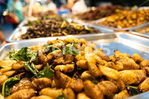 Strange food, weird food. deep fried insects, local street food in night market, thailand. Pupa, silkworm fried food, fried insect larvae snack as exotic in Asia, Thailand. insects protein snacks. food organic eat market cuisine natural healthy thailand asian larvae background asia delicious thai traditional worm larva bug grasshopper edible tasty cooked fried sago meal meat fry insect animal protein nutrition maggot protein street edible insects nature indonesia borneo malaysia maggot tropical dish crunchy freshness closeup brown alternative protein cricket locust fabric fried insects