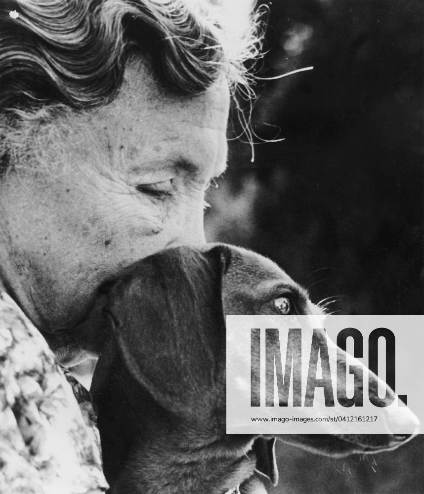 Helen Keller (1880-1968) Born Blind Deaf Mute, Thanks To her Governess She Overcame This Handicaps, Studied and Created in 1921 The American Foundation For The Blind, here C. 1955 With her Dog (b w photo) 1654128 Helen Keller (1880-1968) Born Blind Deaf Mute, Thanks To her Governess She Overcame This Handicaps, Studied and Created in 1921 The American Foundation For The Blind, here C. 1955 With her Dog (b w photo); (add.info.: Helen Keller (1880-1968) born blind deaf mute, thanks to her governess she overcame this handicaps, studied and created in 1921 the american foundation for the blind, here c. 1955 with her dog).