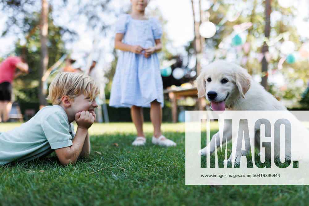 Children playing with a small puppy at family garden party. Portrait of little boy lying on grass looking at Golden retriever puppy. Children playing with a small puppy at a family garden party. Portrait of little boy lying on grass looking at Golden retriever puppy. model released