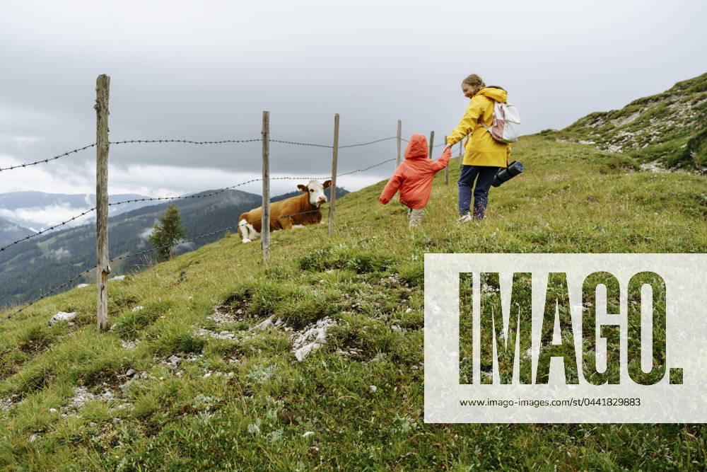 Mother and daughter walking by fence and cow on mountain model released, Symbolfoto, NSTF00035