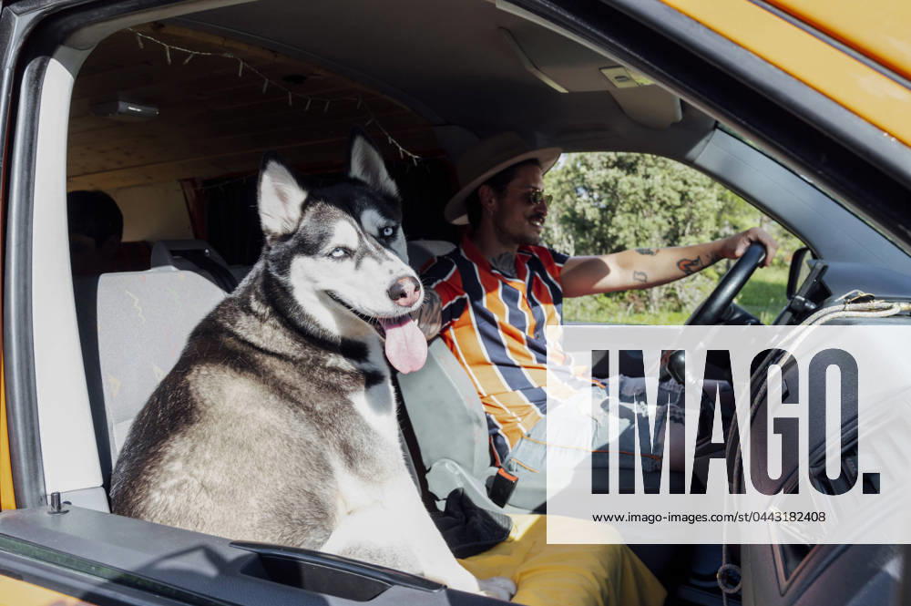Junger mann,sommer,hund,verreisen,campingbus,mann,sommerlich,hunde,reise,reisen,bus,camping,fahrzeug ** young man,summer,dog,travel,campervan,guy,man,men,young,summers,dogs,travels,campervans,caravan,caravans,mobile home,motor home,motorhome,motorhomes 539-lhk ,model released, Symbolfoto
