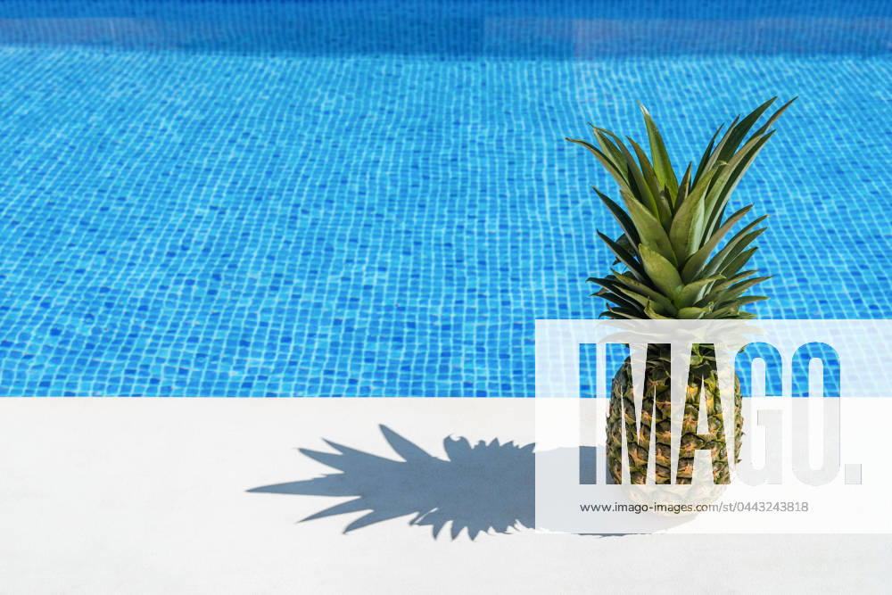 Sommer,pool,ananas,sommerlich,schwimmbad,schwimmbecken,swimming pool,swimmingpool ** summer,pool,pineapple,summers,pools,wooden post,pineapples 539-opv