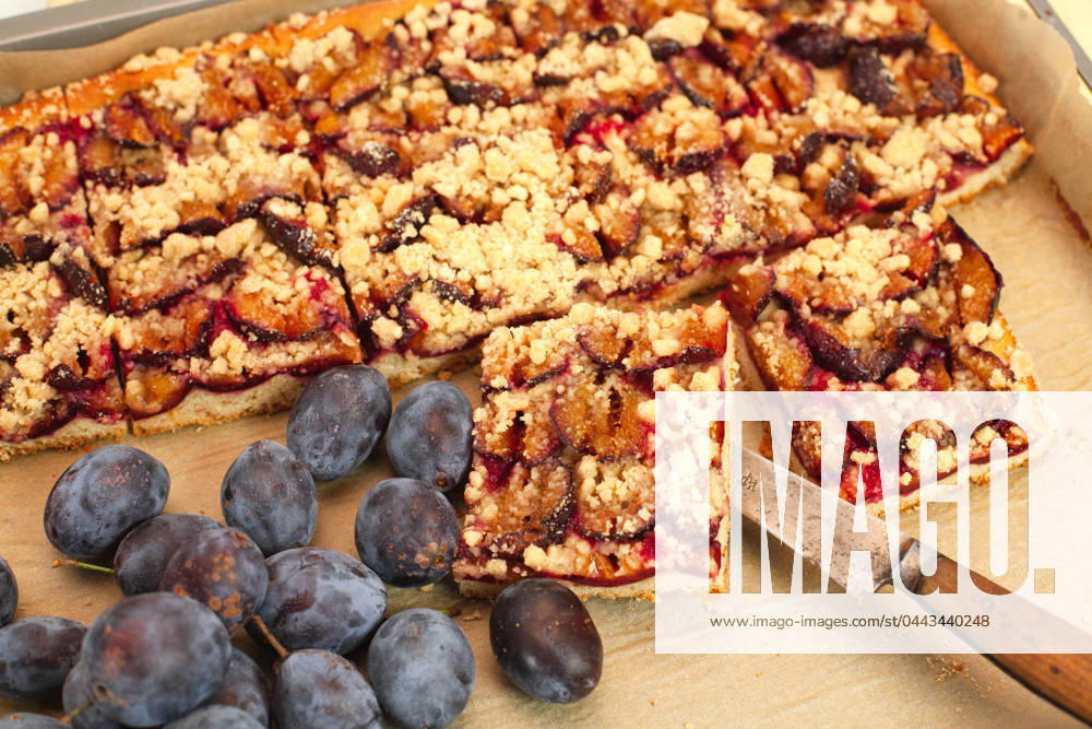 IMAGO Creative, Herbst, Food, Pflaumenkuchen streuselkuchen,pflaumenkuchen,zwetschgenkuchen,kuchen,streusel-kuchen,datschi,zwetschgendatschi,prummetaat,zwetschenkuchen ** streusel cake,plum cake,streusel cakes,plum cakes,plum pie ijc-fip