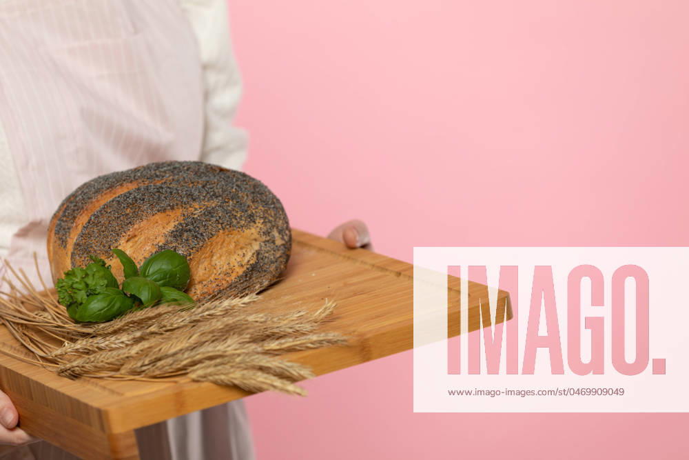 IMAGO Creative: Food, Mohn A young attractive saleswoman from a bakery shop holds a round loaf of bread sprinkled with poppy seeds and a pinch of fresh green herb leaves and rye ears on a wooden tray. The whole on a uniform light pink background. A young girl with a beautiful European beauty holds in her hands on a wooden board a freshly baked loaf of poppy seed bread, decorated with green herbs and ears of grain. The whole composition is set against a uniform light pink background.