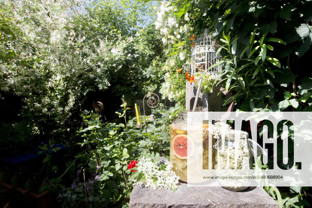 IMAGO Creative: Sommer, Sommertage im Garten Jars of lemonade on pedestal standing in garden property released, HHF05978