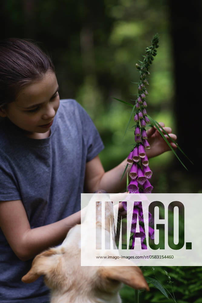 IMAGO Creative, Sommer, Sommertage im Garten The girl shows her dog a flower in the forest Stein, Bavaria, Germany R_MZYLOL240618-1457327-01 ,model released, Symbolfoto