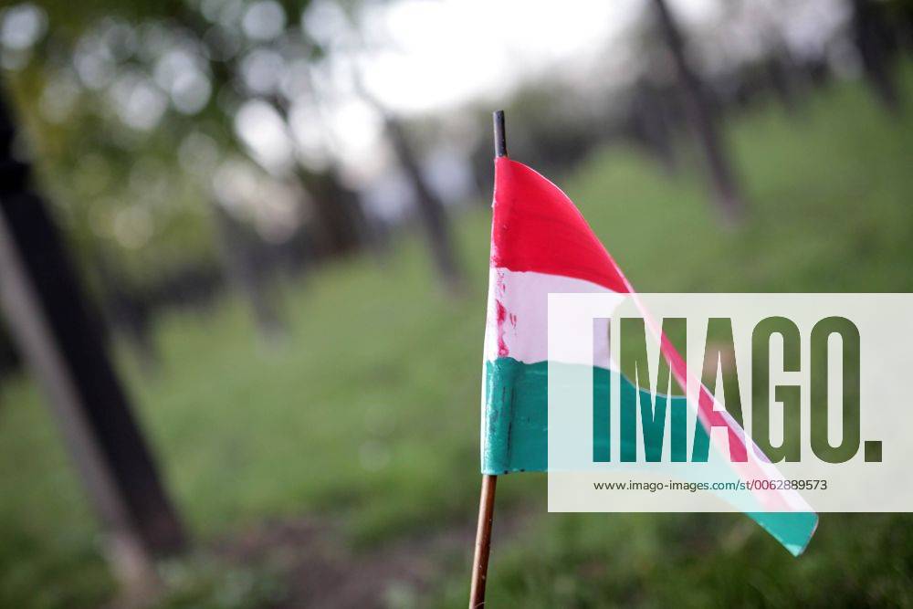 Mermorial event the 1956 uprising against Soviet occupation at New Public Cemetery in Budapest, Hungary on November 4, 2014. . The uprising began after a student demonstration on October 23, 1956 and had been bloody crushed by Soviet Army on November 4. Image shows tricolor flag. CSABAxDOMOTOR