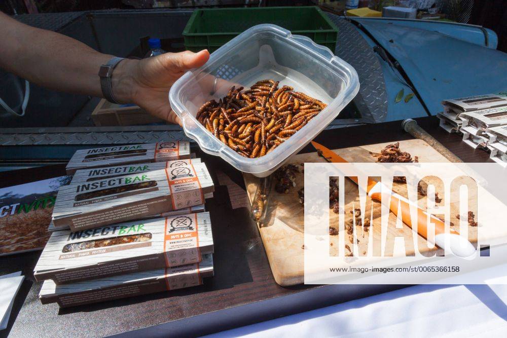 Verkaufsstand Insektenriegel - Paleo Convention 2015 Neue Heimat Berlin
