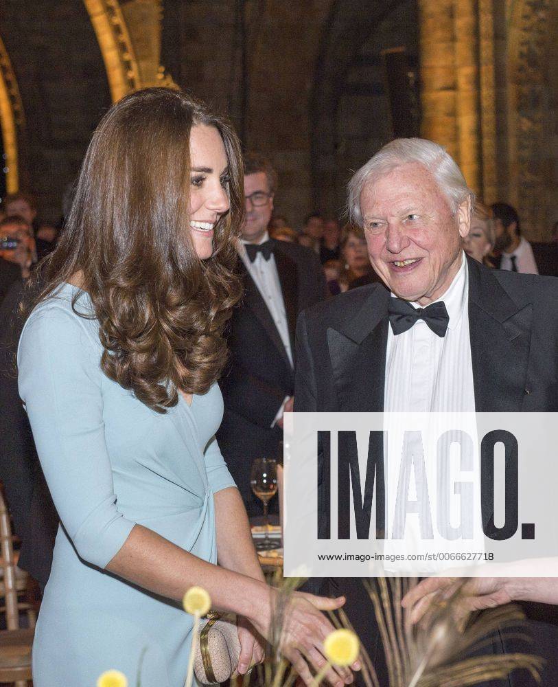 IMAGO ICONS: Sir David Attenborough Oct. 21, 2014 - London, GREAT BRITAIN - Britain s Catherine Duchess of Cambridge and David Attenborough greet guests at the Natural History Museum in London, Tuesday, October 21, 2014. The Duchess of Cambridge was attending the Wildlife Photographer of the Year 2014 awards ceremony. - ZUMAp12