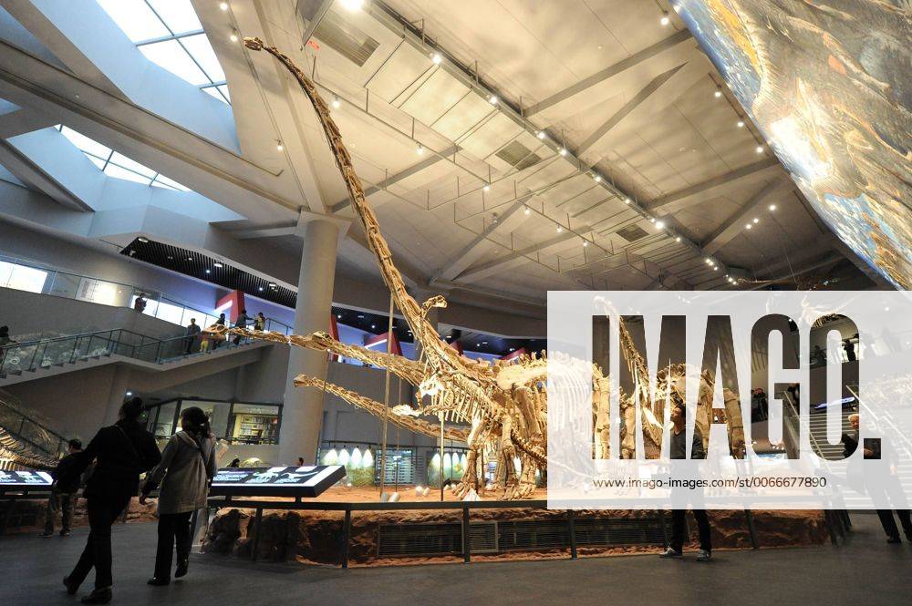 (151109) -- CHONGQING, Nov. 9, 2015 -- Visitors visit dinosaur fossils at the new venue of Chongqing Museum of Natural History in southwest China s Chongqing Municipality, Nov. 9, 2015. With an investment of nearly 400 million yuan (around 63 million US dollars), the new venue of Chongqing Museum of Natural History opened to the public on Monday. The universal museum contains more than 110,000 exhibits, covering the fields of astronomy, geography and biology. ) (zhs) CHINA-CHONGQING-MUSEUM-NATURE (CN) TangxYi