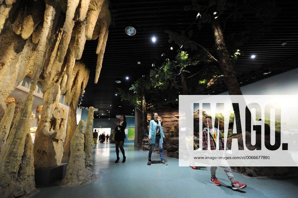 (151109) -- CHONGQING, Nov. 9, 2015 -- Visitors are seen in the new venue of Chongqing Museum of Natural History in southwest China s Chongqing Municipality, Nov. 9, 2015. With an investment of nearly 400 million yuan (around 63 million US dollars), the new venue of Chongqing Museum of Natural History opened to the public on Monday. The universal museum contains more than 110,000 exhibits, covering the fields of astronomy, geography and biology. ) (zhs) CHINA-CHONGQING-MUSEUM-NATURE (CN) TangxYi