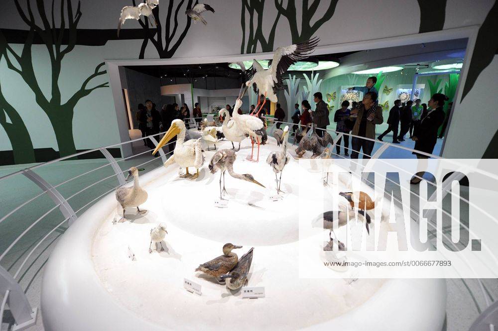 (151109) -- CHONGQING, Nov. 9, 2015 -- Visitors are seen in the new venue of Chongqing Museum of Natural History in southwest China s Chongqing Municipality, Nov. 9, 2015. With an investment of nearly 400 million yuan (around 63 million US dollars), the new venue of Chongqing Museum of Natural History opened to the public on Monday. The universal museum contains more than 110,000 exhibits, covering the fields of astronomy, geography and biology. ) (zhs) CHINA-CHONGQING-MUSEUM-NATURE (CN) TangxYi