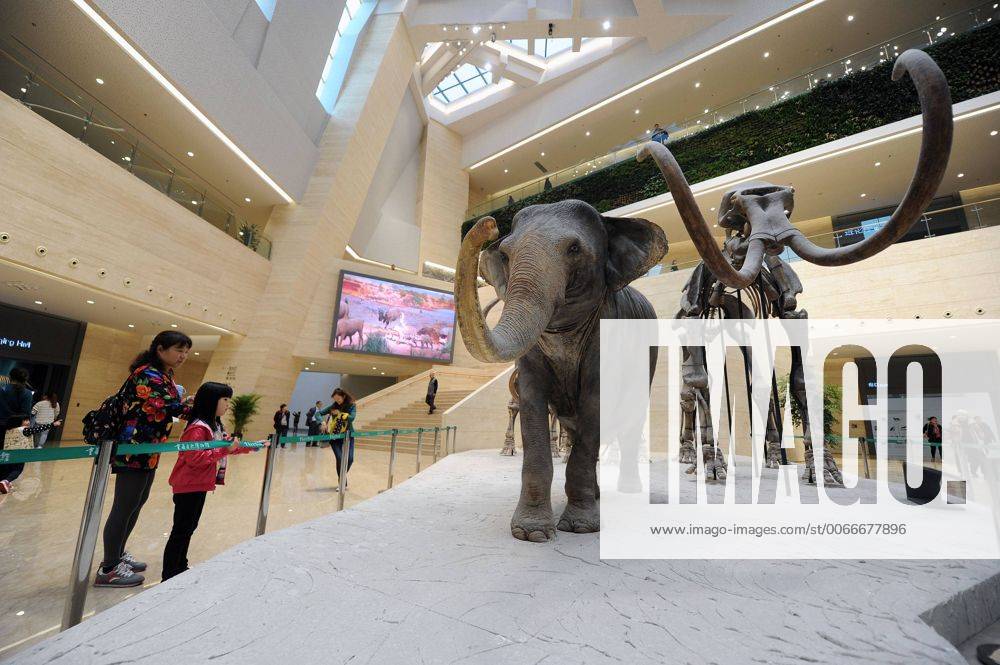 (151109) -- CHONGQING, Nov. 9, 2015 -- Visitors are seen in the new venue of Chongqing Museum of Natural History in southwest China s Chongqing Municipality, Nov. 9, 2015. With an investment of nearly 400 million yuan (around 63 million US dollars), the new venue of Chongqing Museum of Natural History opened to the public on Monday. The universal museum contains more than 110,000 exhibits, covering the fields of astronomy, geography and biology. ) (zhs) CHINA-CHONGQING-MUSEUM-NATURE (CN) TangxYi