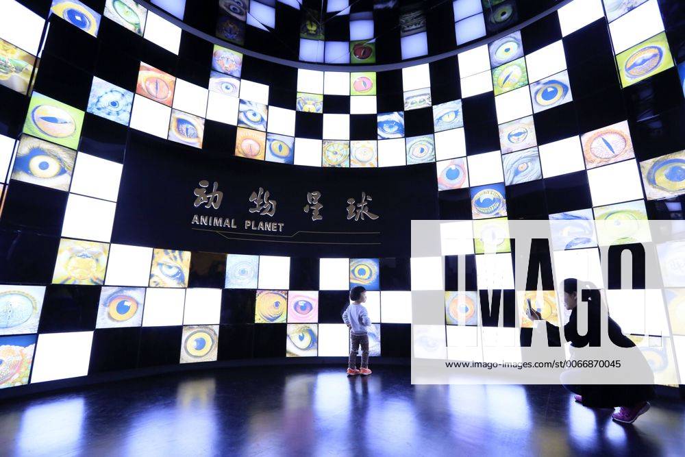 CHONGQING -- People visit the new Chongqing Museum of Natural History in Chongqing, southwest China, Nov. 15, 2015. The new Chongqing Museum of Natural History, the second largest natural museum in China, reopened on Nov. 9, 2015. ) (zwx) CHINA-CHONGQING-MUSEUM OF NATURAL HISTORY-REOPENING(CN) QinxTingfu
