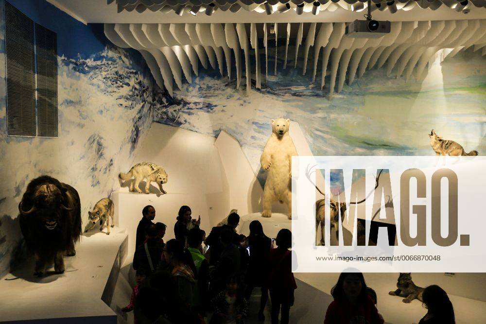 CHONGQING -- People visit the new Chongqing Museum of Natural History in Chongqing, southwest China, Nov. 15, 2015. The new Chongqing Museum of Natural History, the second largest natural museum in China, reopened on Nov. 9, 2015. ) (zwx) CHINA-CHONGQING-MUSEUM OF NATURAL HISTORY-REOPENING(CN) QinxTingfu