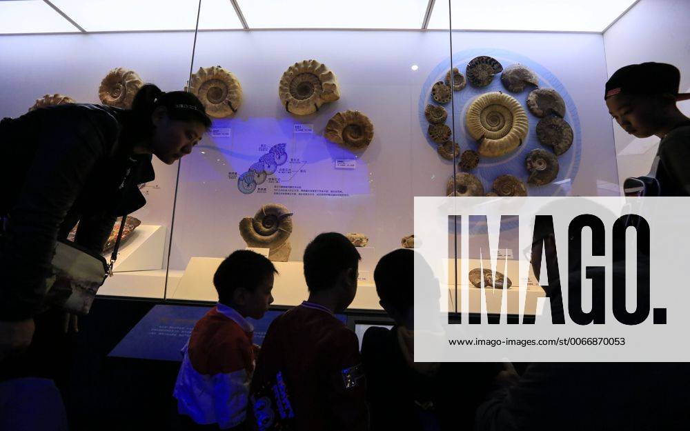 CHONGQING -- People visit the new Chongqing Museum of Natural History in Chongqing, southwest China, Nov. 15, 2015. The new Chongqing Museum of Natural History, the second largest natural museum in China, reopened on Nov. 9, 2015. ) (zwx) CHINA-CHONGQING-MUSEUM OF NATURAL HISTORY-REOPENING(CN) QinxTingfu