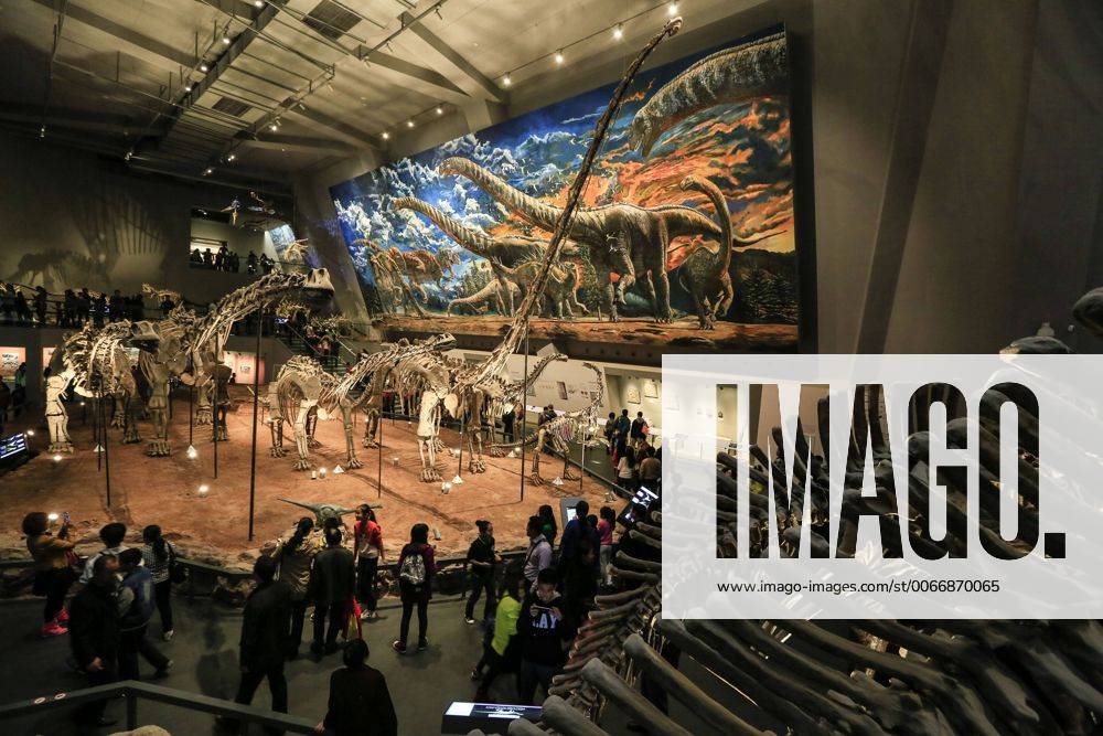CHONGQING -- People visit the new Chongqing Museum of Natural History in Chongqing, southwest China, Nov. 15, 2015. The new Chongqing Museum of Natural History, the second largest natural museum in China, reopened on Nov. 9, 2015. ) (zwx) CHINA-CHONGQING-MUSEUM OF NATURAL HISTORY-REOPENING(CN) QinxTingfu
