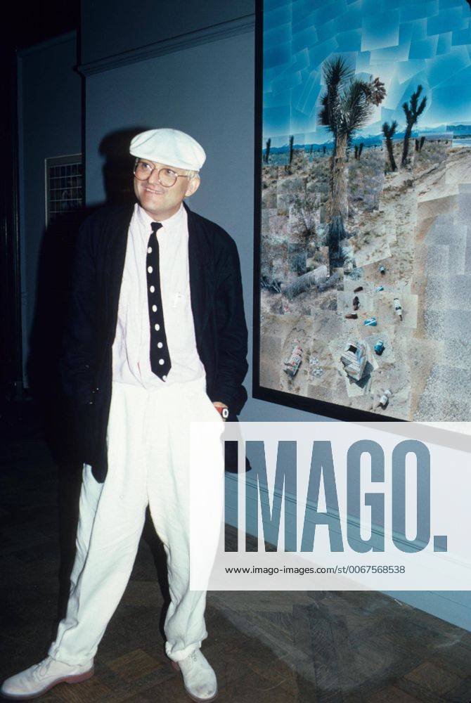 DAVID HOCKNEY 1986.k0179rh. - ZUMAg49
