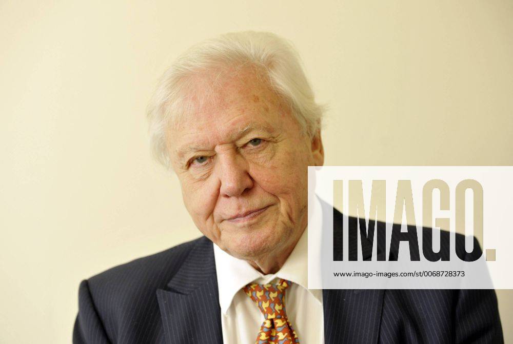 IMAGO ICONS: Sir David Attenborough Dec. 17, 2013 - Bristol, Bristol, UK - Bristol, UK. Bristol gives the cityÃ¢??s highest honour to Sir David Attenborough at an extraordinary full council meeting on Tuesday, December 17. Sir David Attenborough is widely recognised as the worldÃ¢??s greatest natural history programme maker. The decision to award the Freedom of the City follows a close association between Bristol, the BBCÃ¢??s Natural History Unit (based in Bristol) and the renowned naturalist and film-maker. Freedom of the City will mean that Sir David AttenboroughÃ¢??s name is added to the Roll of Honorary Freemen of the City. Sir David AttenboroughÃ¢??s career as a naturalist and broadcaster has spanned nearly six decades and there are very few places on the globe he has not visited. 17 December 2013..Photo credit : Simon Chapman LNP - ZUMAl94_