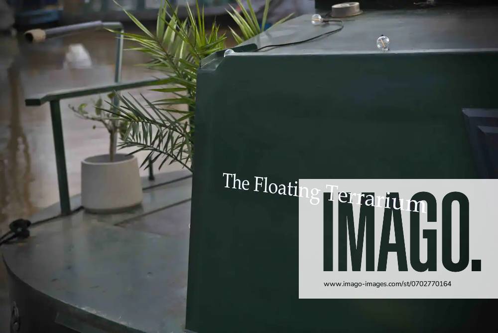 Love plants? Stay in Londons first live-in terrarium boat this summer Story from Jam Press (Terrarium Boat) Pictured: The Floating Terrarium. Love plants? Stay in Londons first live-in terrarium boat this summer Are you a plant lover? A water babe? Well, now you can take both to the next level with a stay on a ˜terrarium boat . Moored on a canal in Hackney, London, this life-size ecosystem is made for those who want to get close to nature. The 48.3 sq m boat is decked out with 150 verdant houseplants - making it a perfect live-in oasis. Terrariums are more commonly known to be small, sometimes big, glass enclosures filled with plants, stones and mosses. But this one is a floating, green sanctuary. The two-guest propert